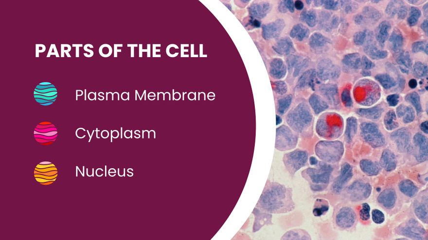 Free Science Subject for Middle School Presentation Template to Edit Online