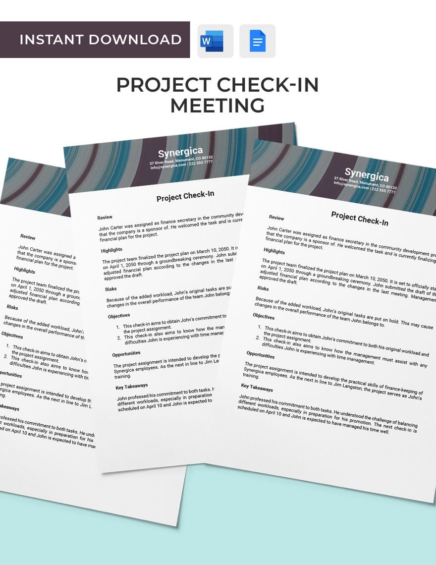 Project Check-in Meeting Template