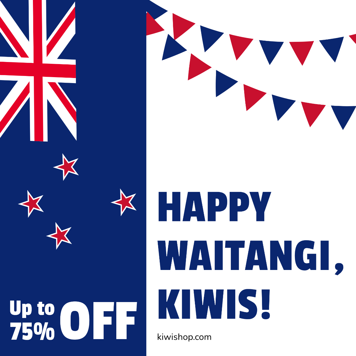 Waitangi Day Flyer Vector Template