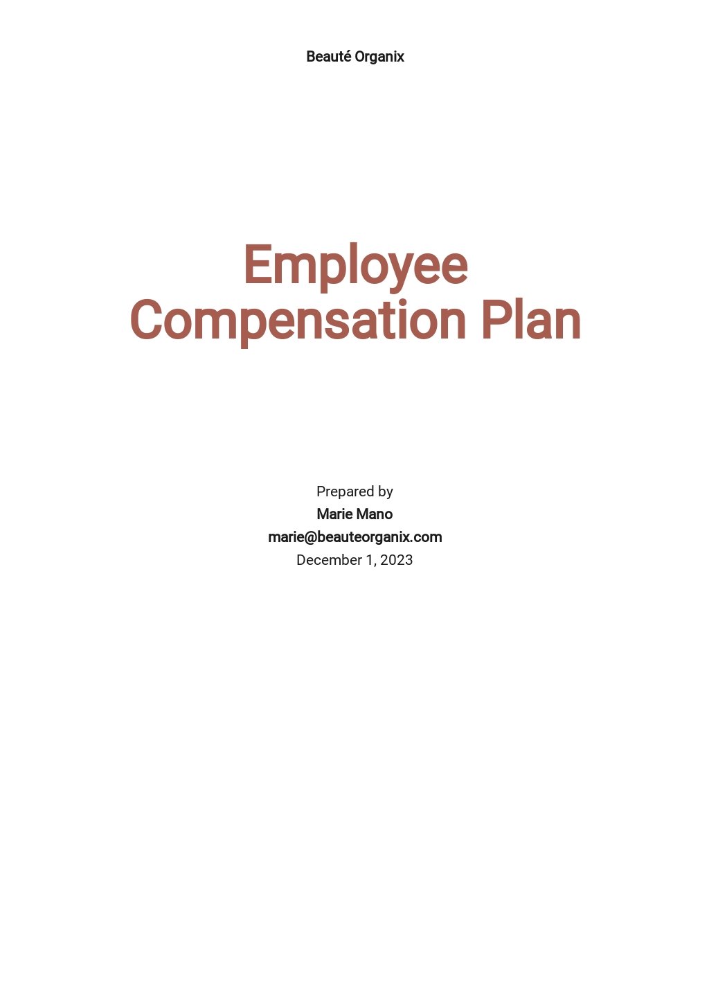 Employee Compensation Plan Template