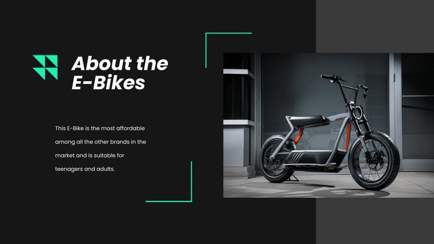 Electric Bike Campaign Presentation