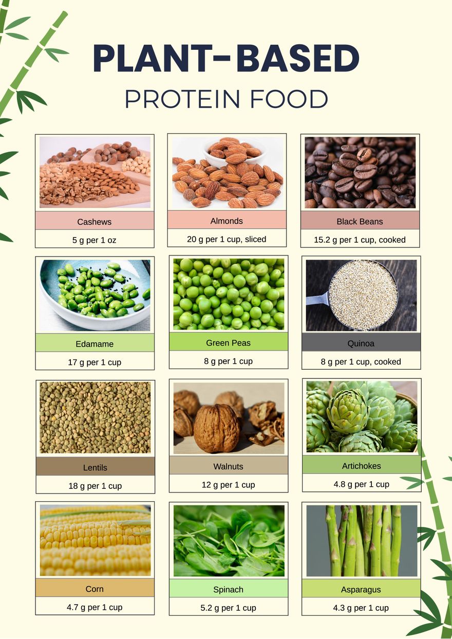 Plant Based Protein Food Chart in Illustrator, Portable Documents ...
