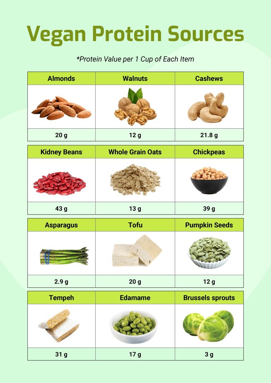 Vegan Protein Sources Chart in PDF, Illustrator
