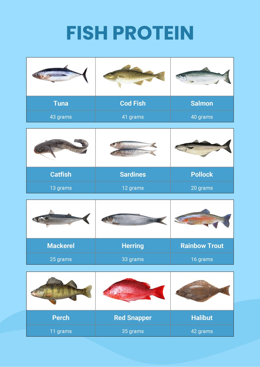 Fish Protein Chart in PDF, Illustrator