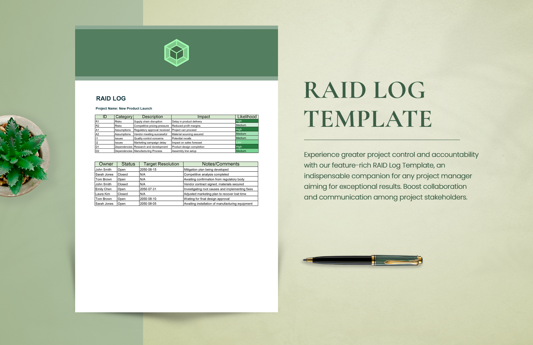 RAID Log Template