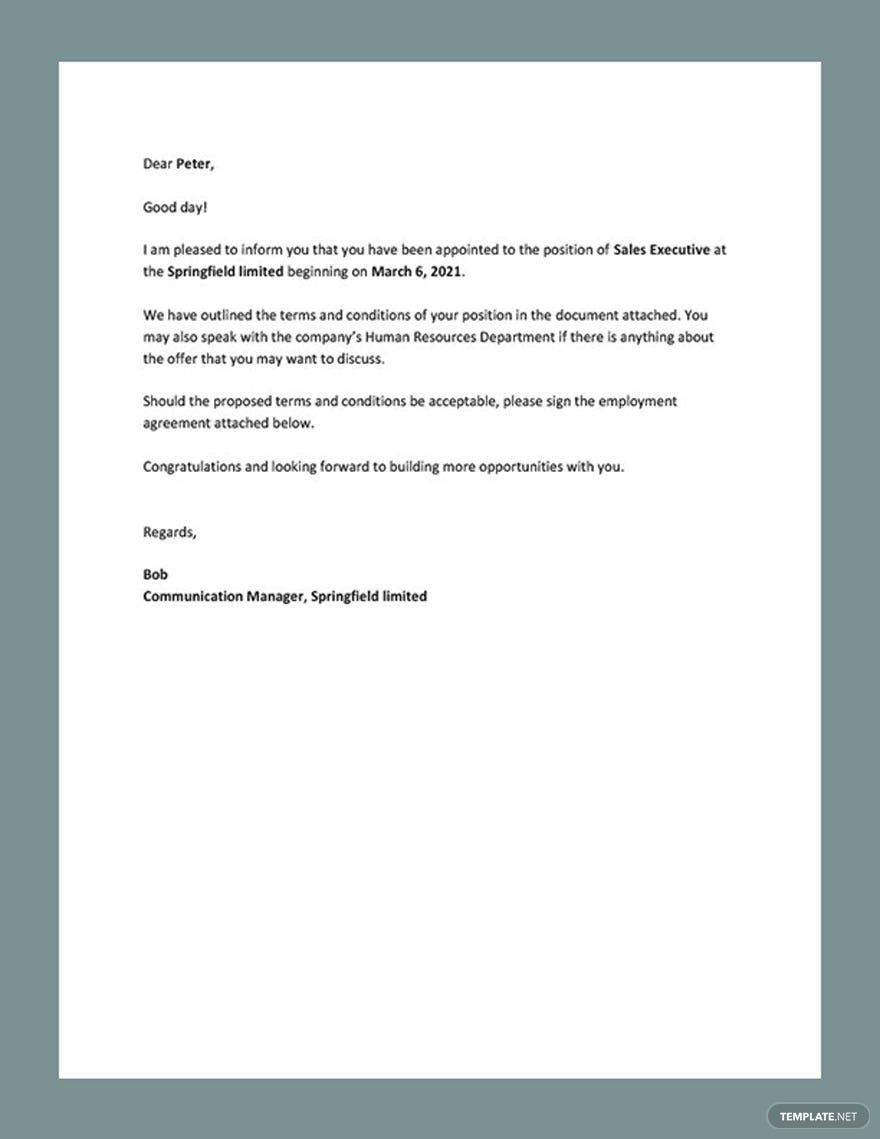 Appointment Letter Template for Employee