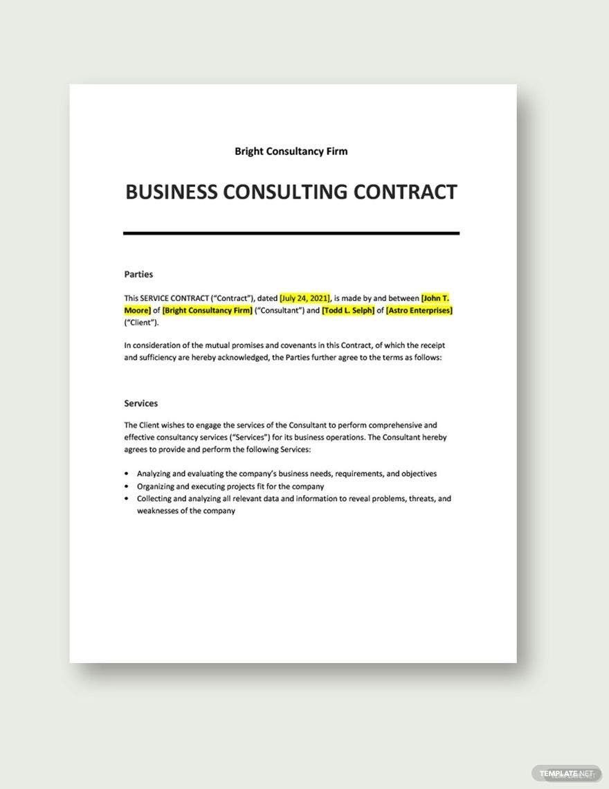 Business Consulting Contract