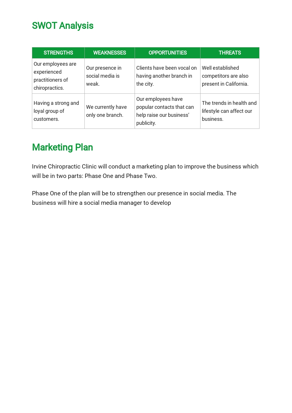 how to write a chiropractic business plan