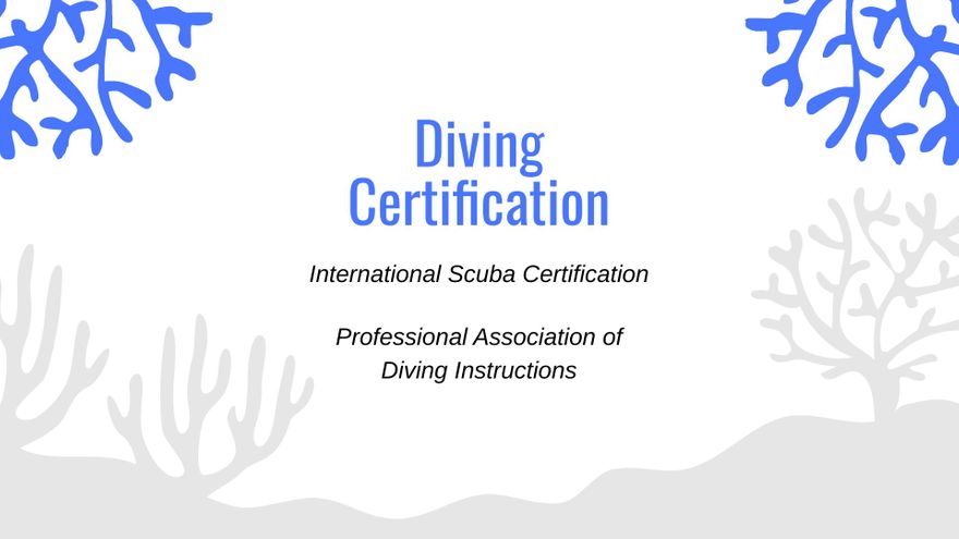 Free Diving Photographer Portfolio Presentation Template to Edit Online