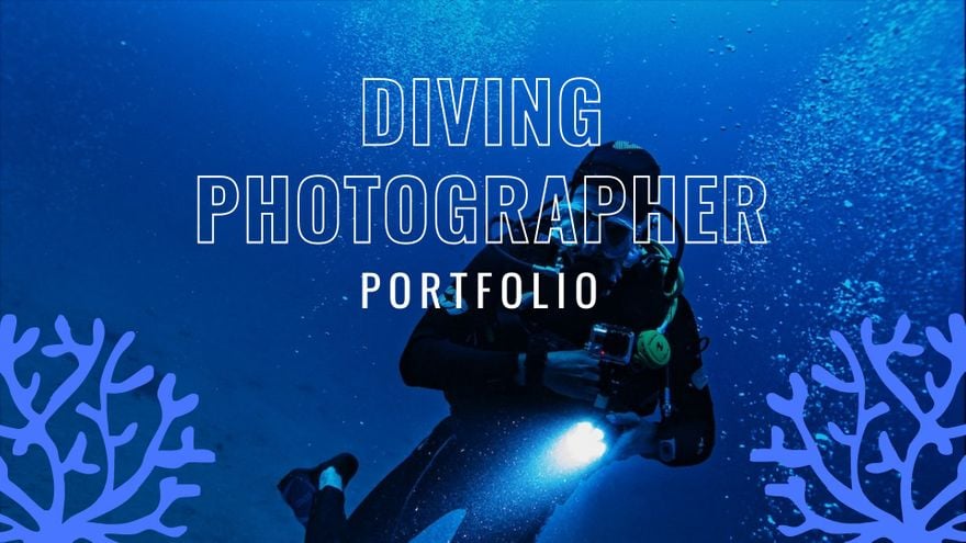 Diving Photographer Portfolio Presentation