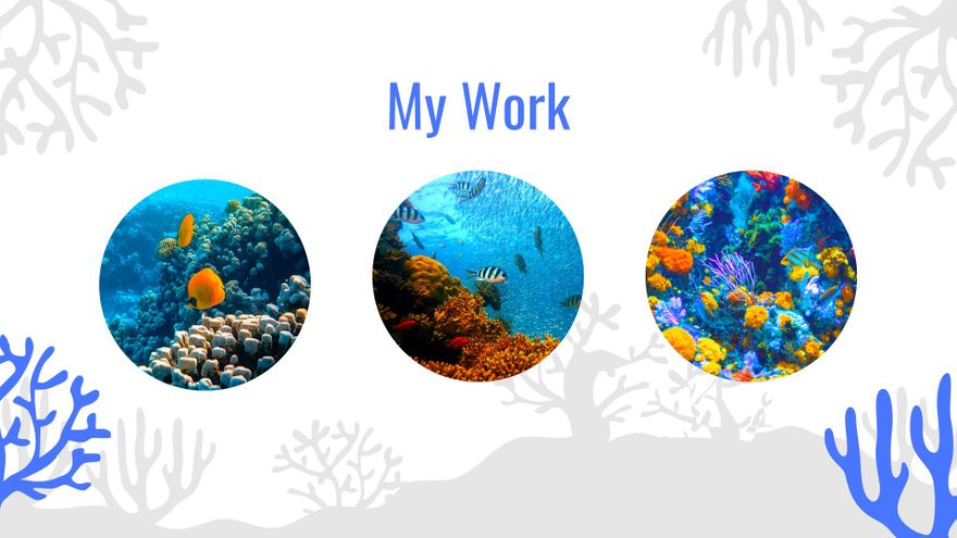 Free Diving Photographer Portfolio Presentation Template to Edit Online