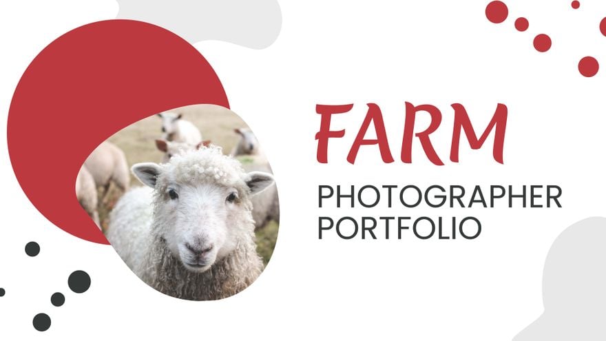 Farm Photographer Portfolio Presentation