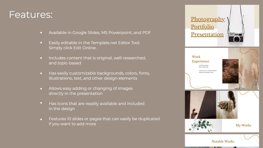 Free Photography Portfolio Presentation Template to Edit Online