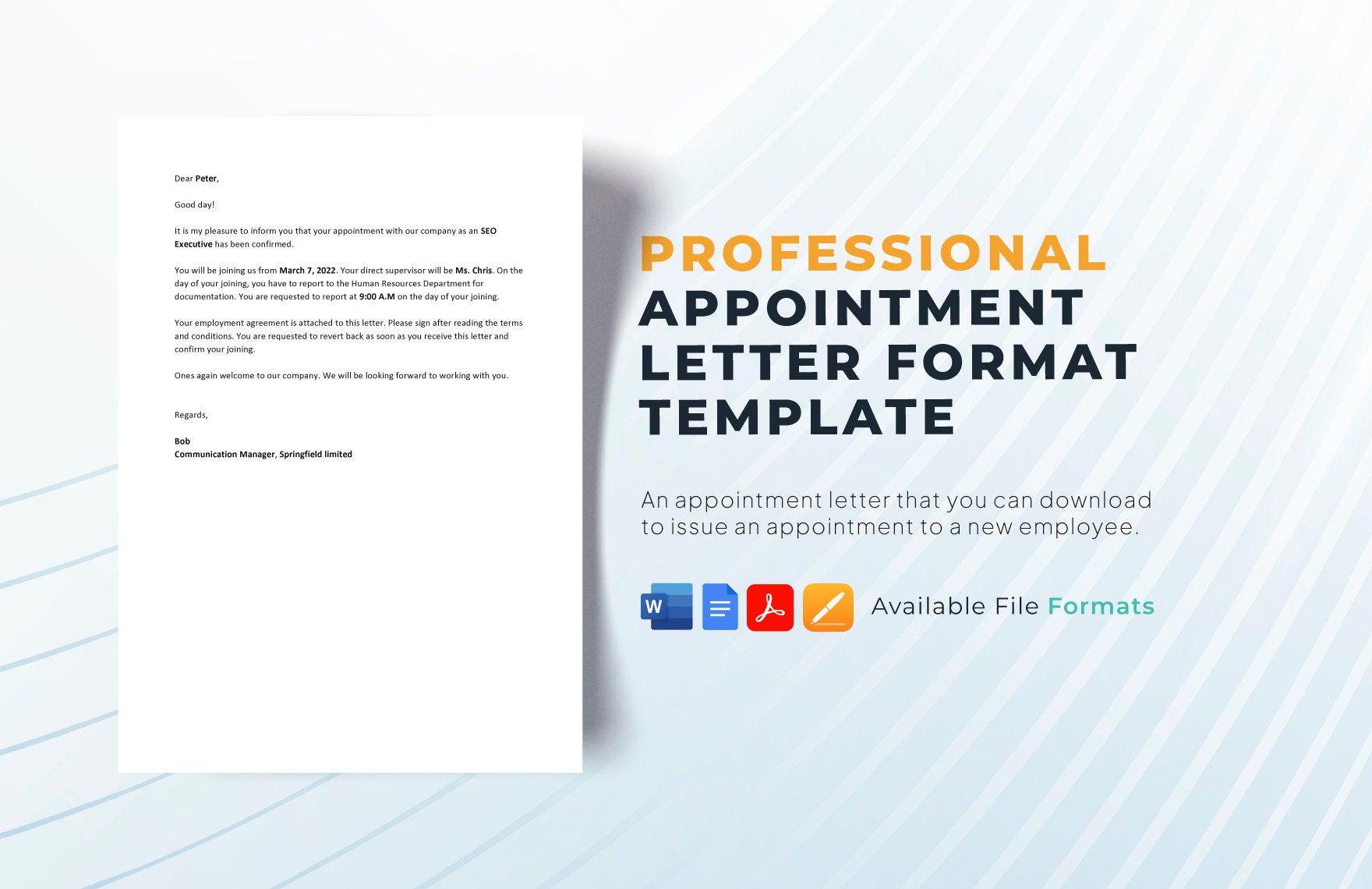 Appointment Letter Format Template