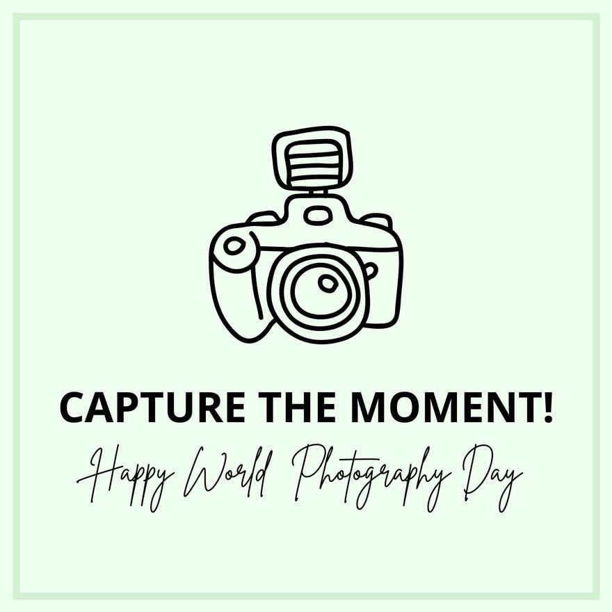 World Photography Day Wishes Vector