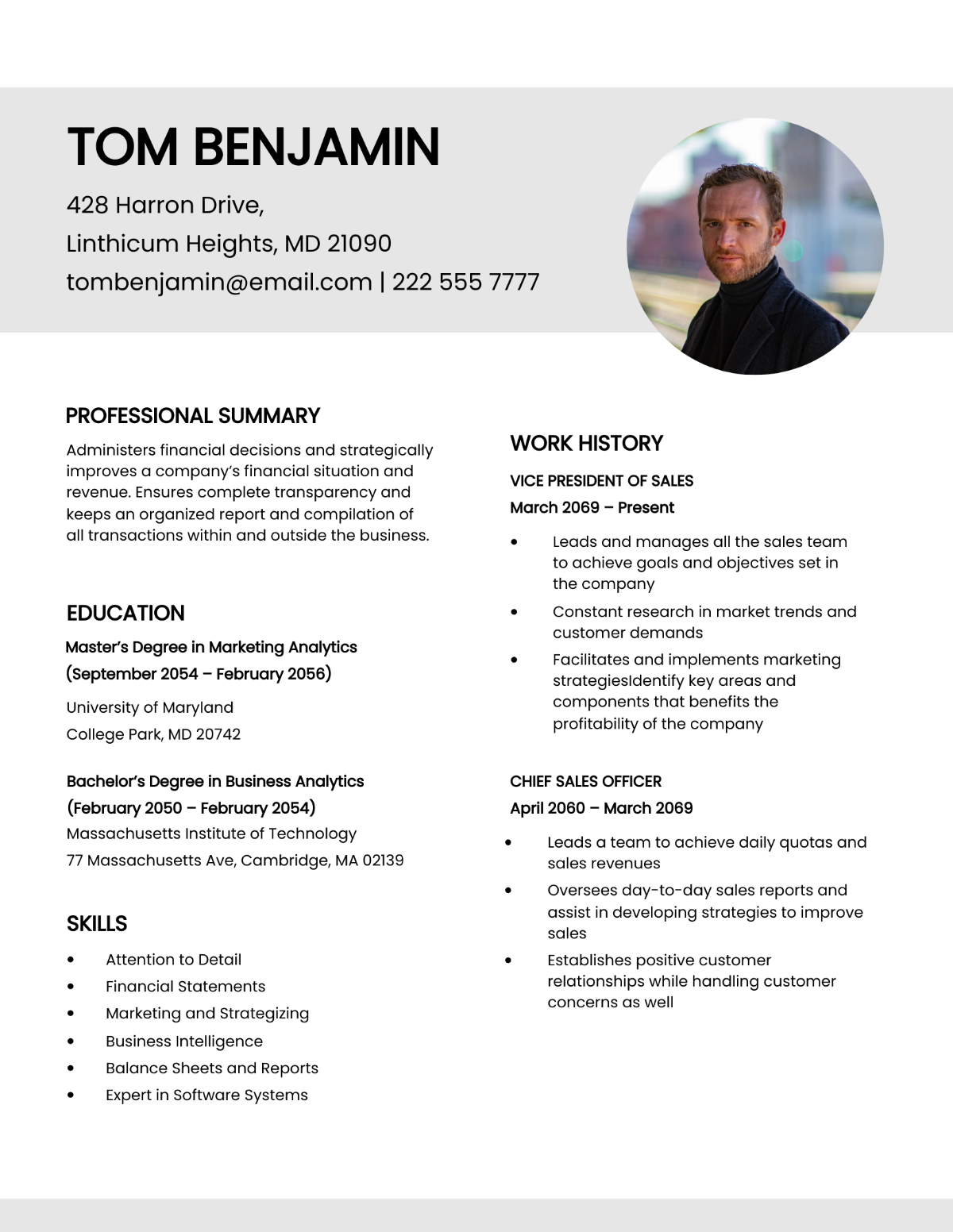 Vice President Of Sales Resume Template