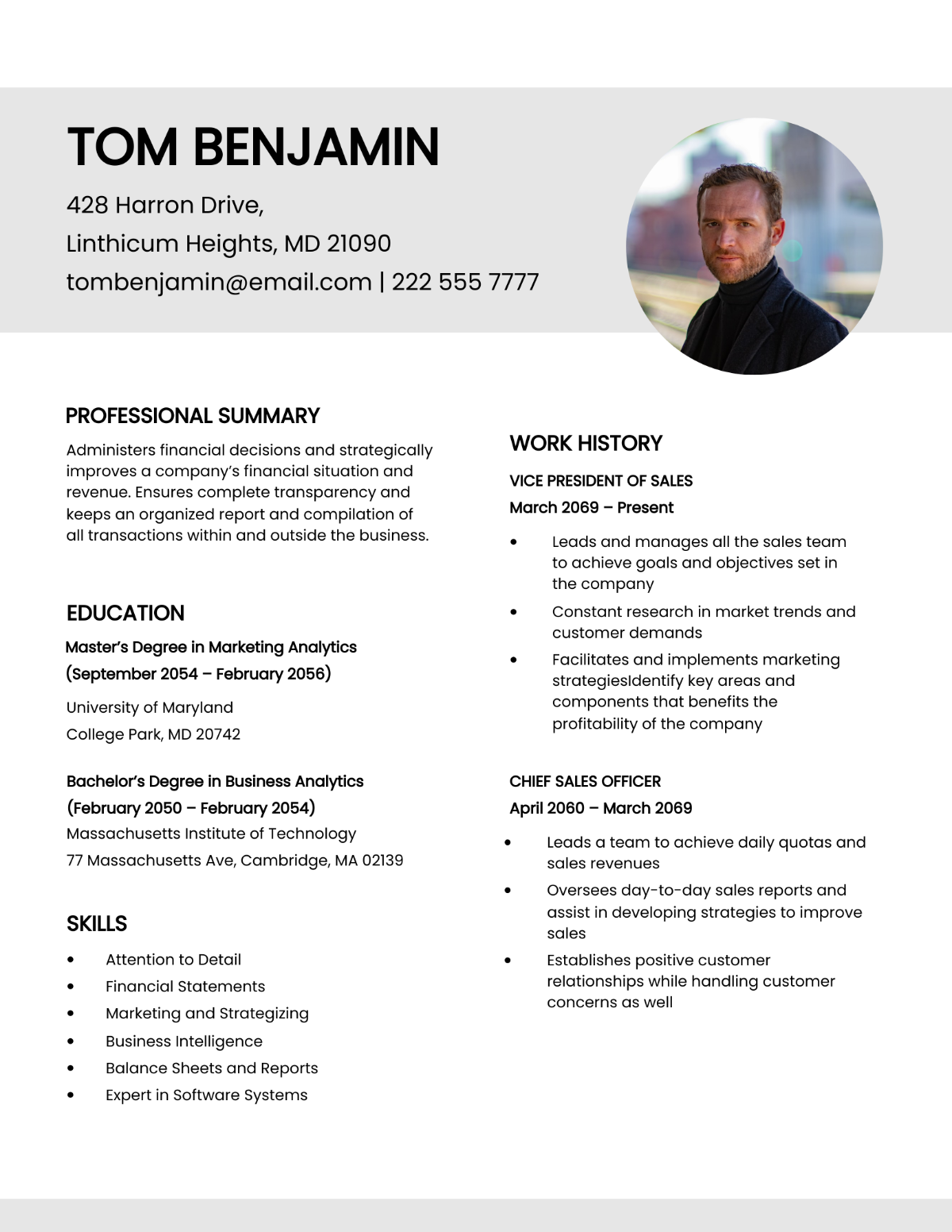 Free Vice President Of Sales Resume Template