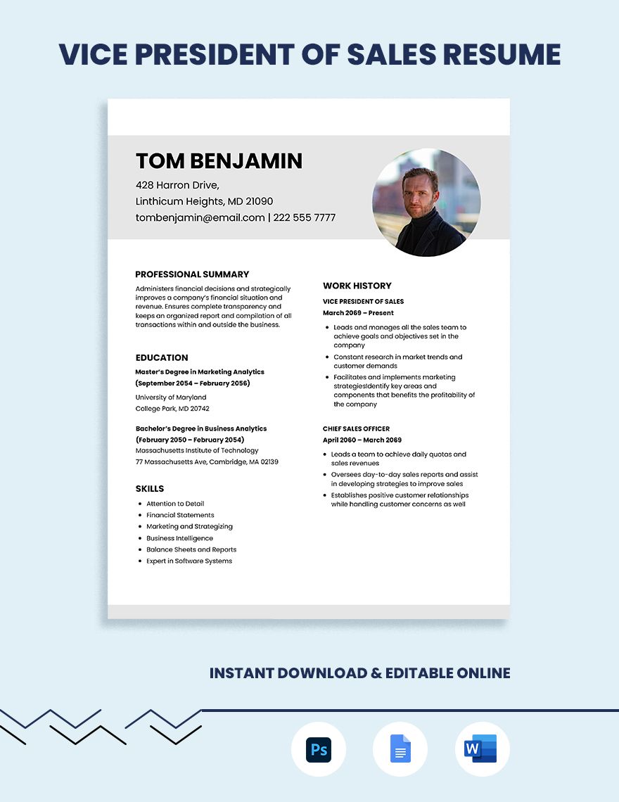 Vice President Of Sales Resume