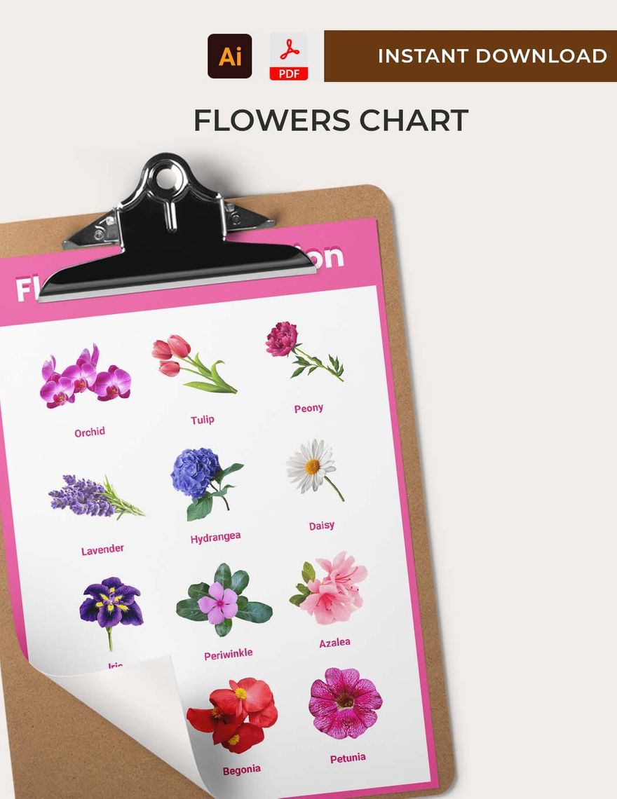 Flowers Chart in PDF, Illustrator