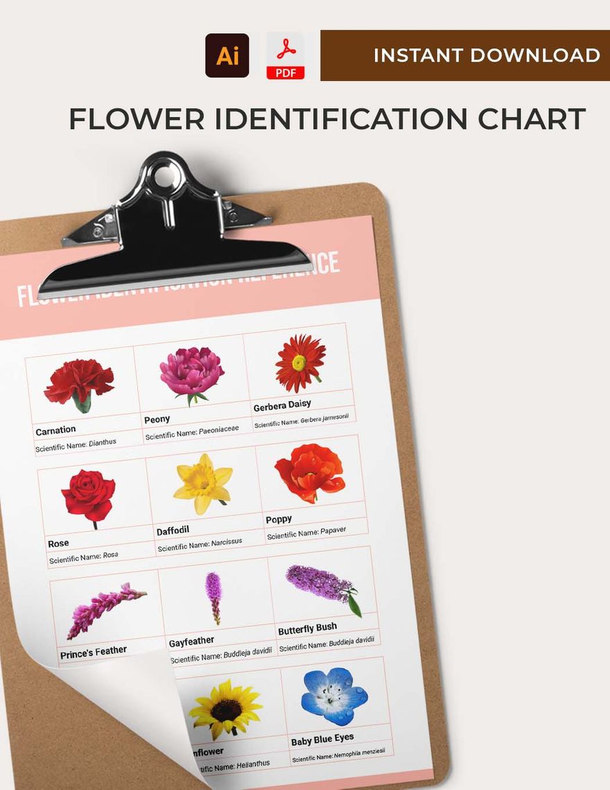 Flower Identification Chart in PDF, Illustrator