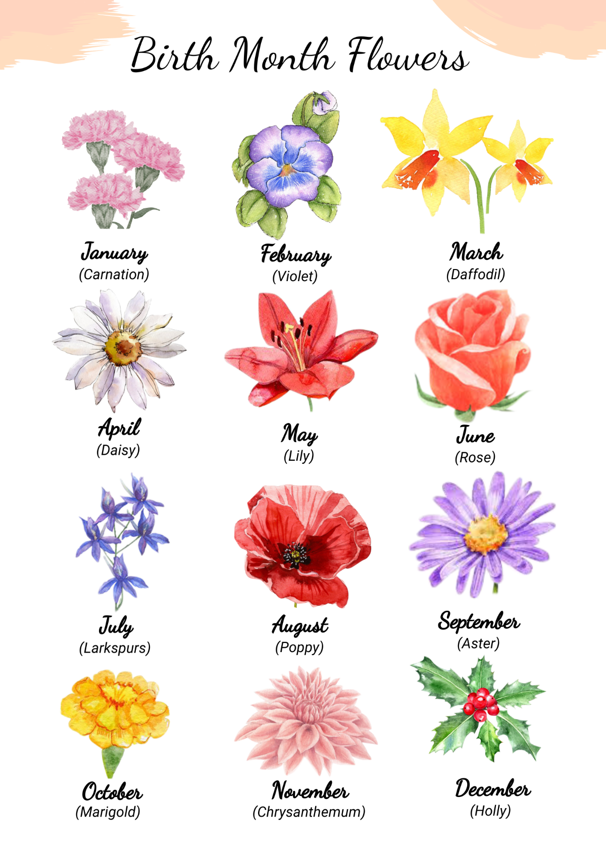 Birth Flower Watercolor Chart Template