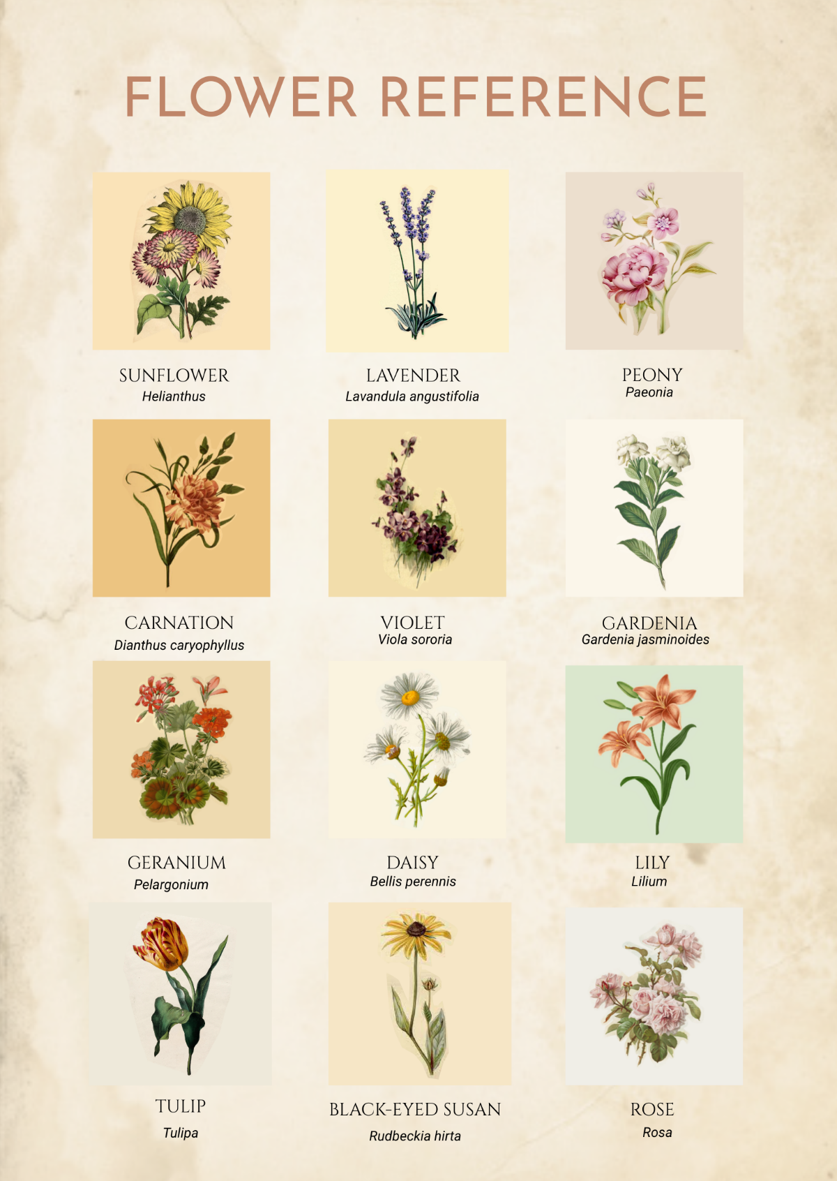 Vintage Flowers Chart Template