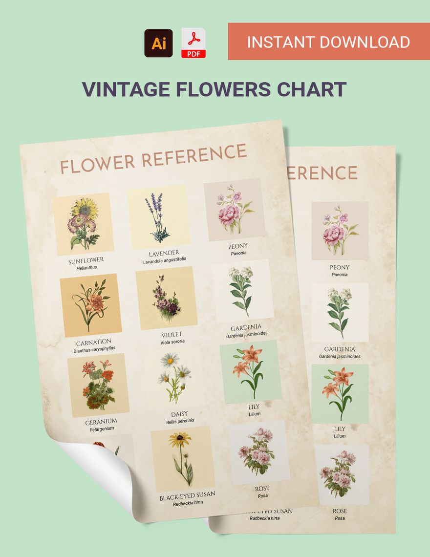 Vintage Flowers Chart in PDF, Illustrator