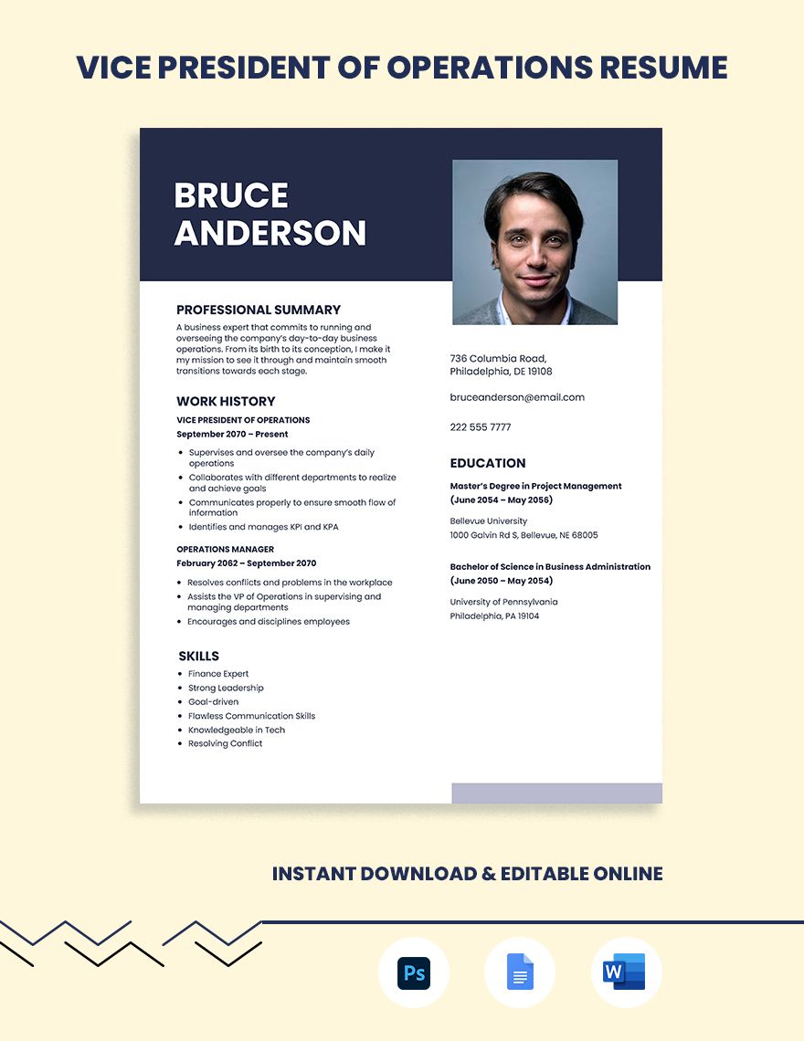 Free Vice President Of Operations Resume in Word, Google Docs, PSD, Apple Pages, Publisher