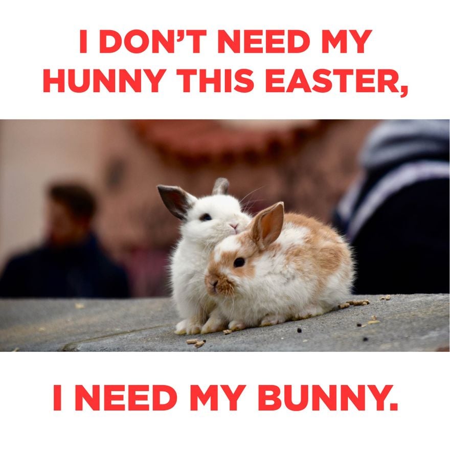 Free Easter Bunny Meme in JPG