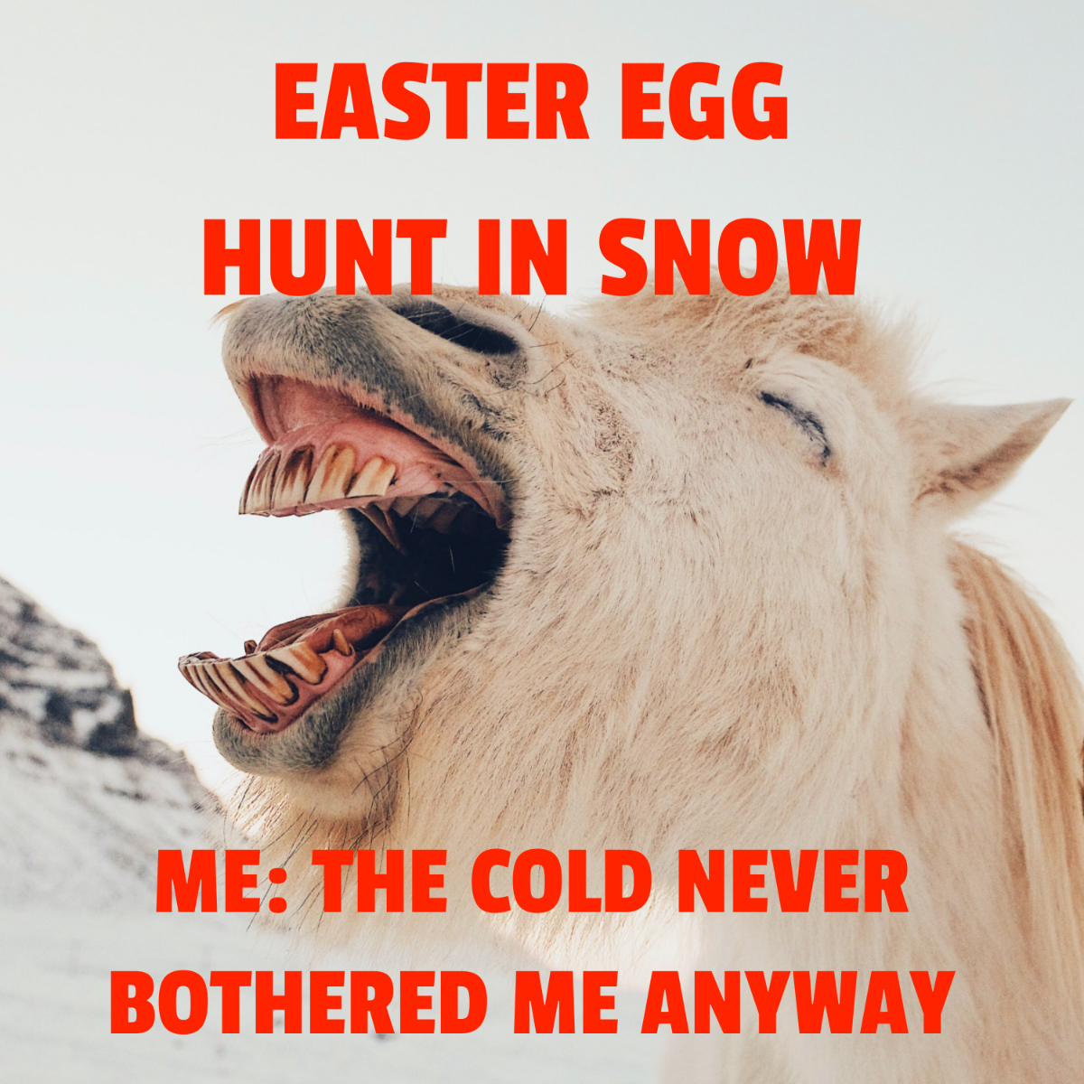 Easter Snow Meme Template