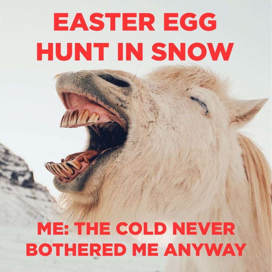 Free Easter Snow Meme in JPG