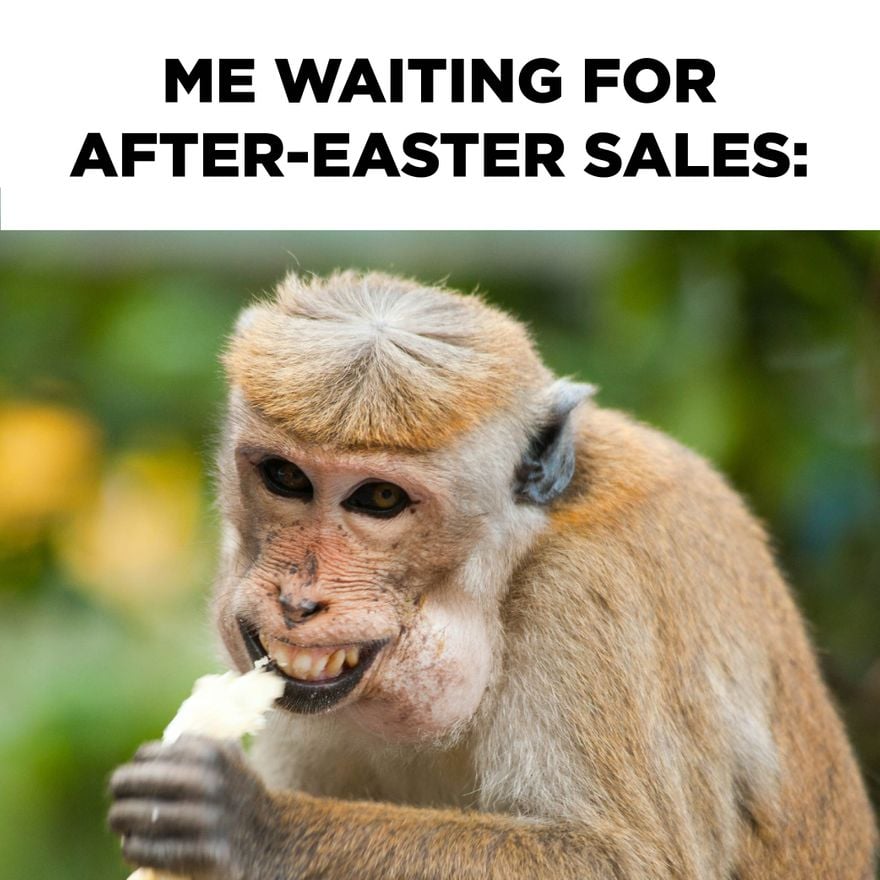 Free Easter Sale Meme in JPG