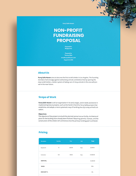 Image 2 for Non Profit Proposal Template