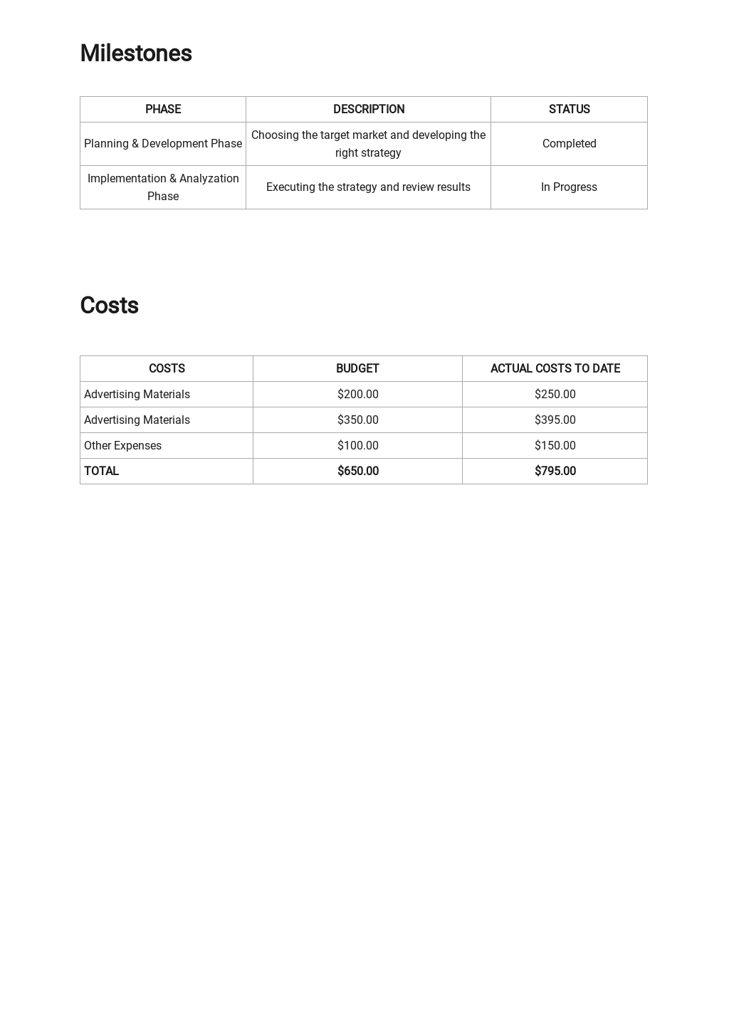 Advertising Report Template in Google Docs, Word