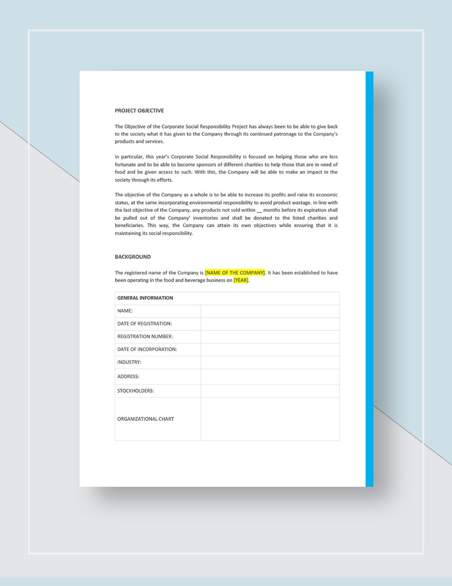 Executive Summary Report Template Google Docs Word Apple Pages 