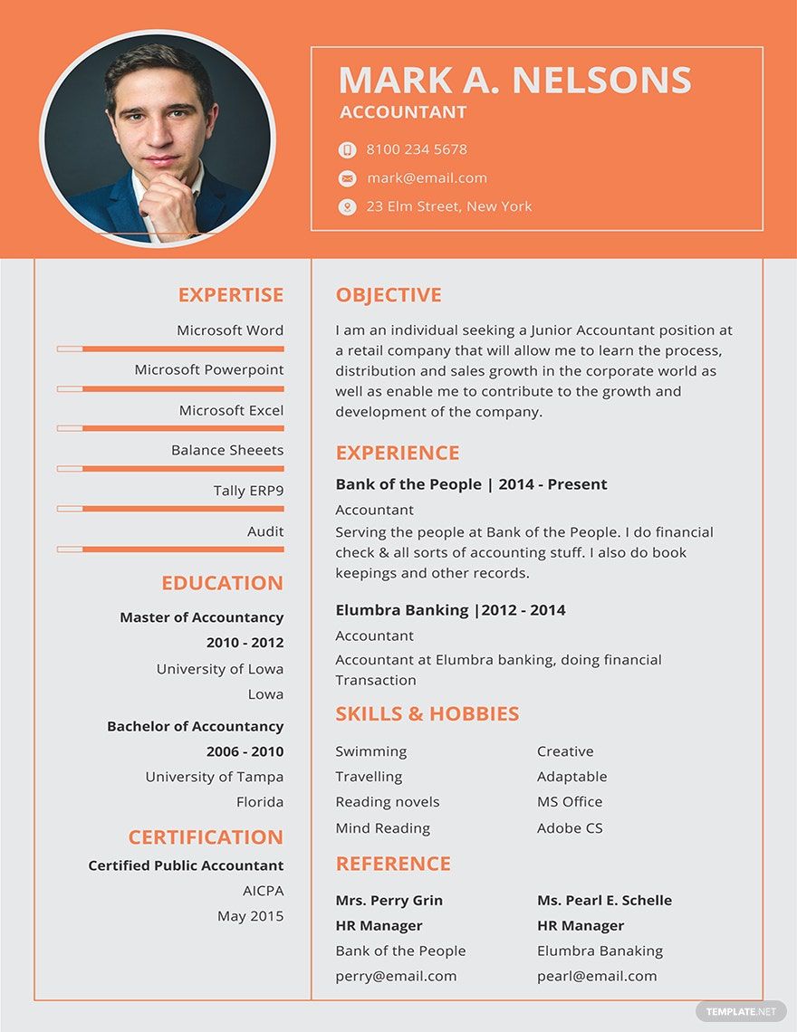 Experienced Accountant Resume Format Template