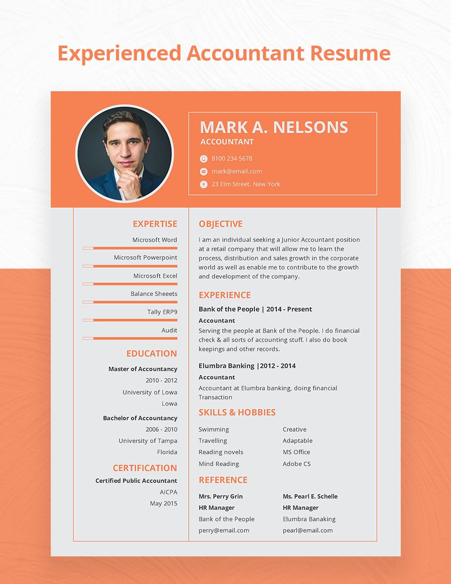 Experienced Accountant Resume Format