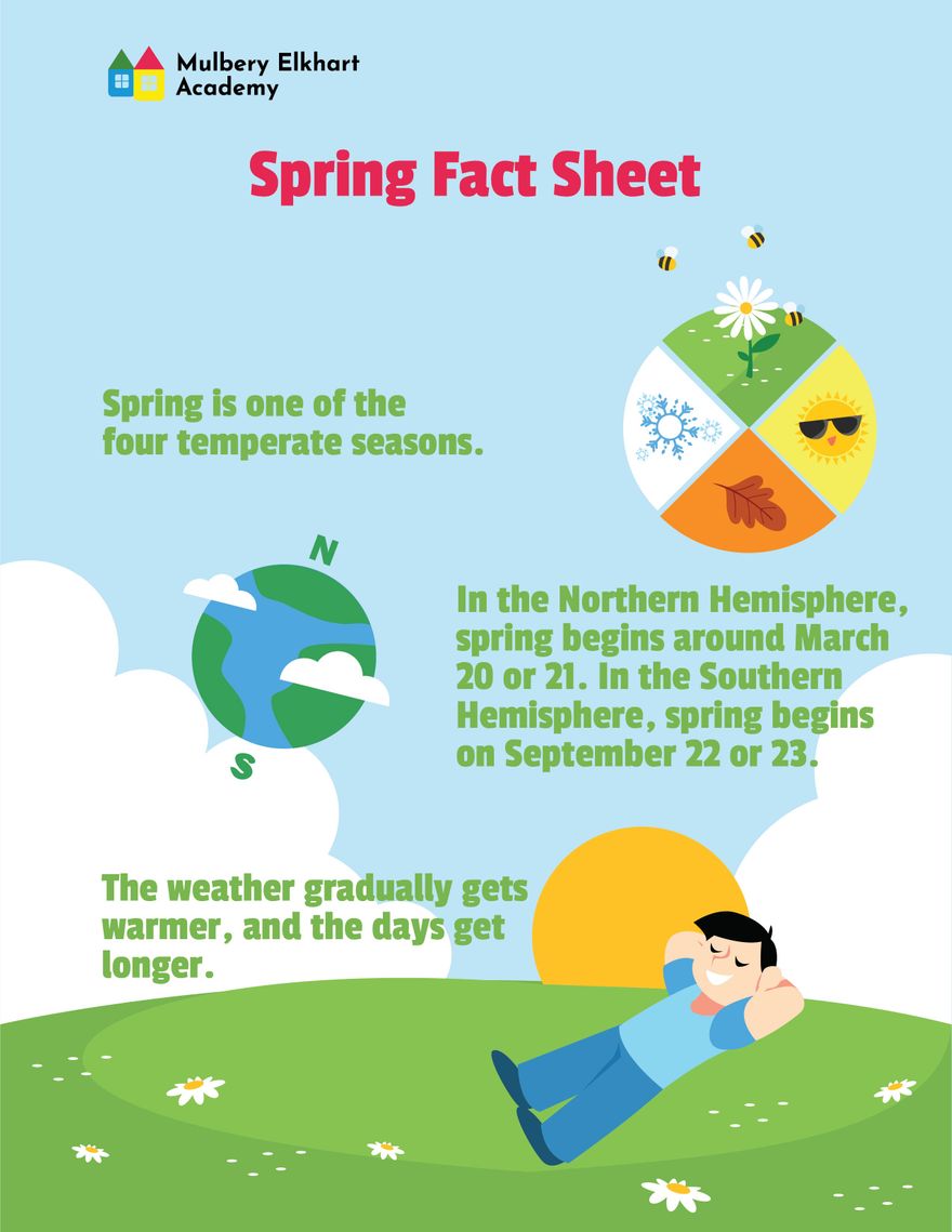 Spring Fact Sheet Template