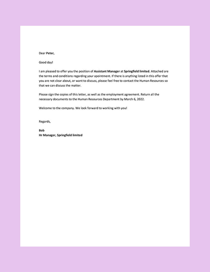 Private Company Appointment Letter Template - Google Docs, Word ...