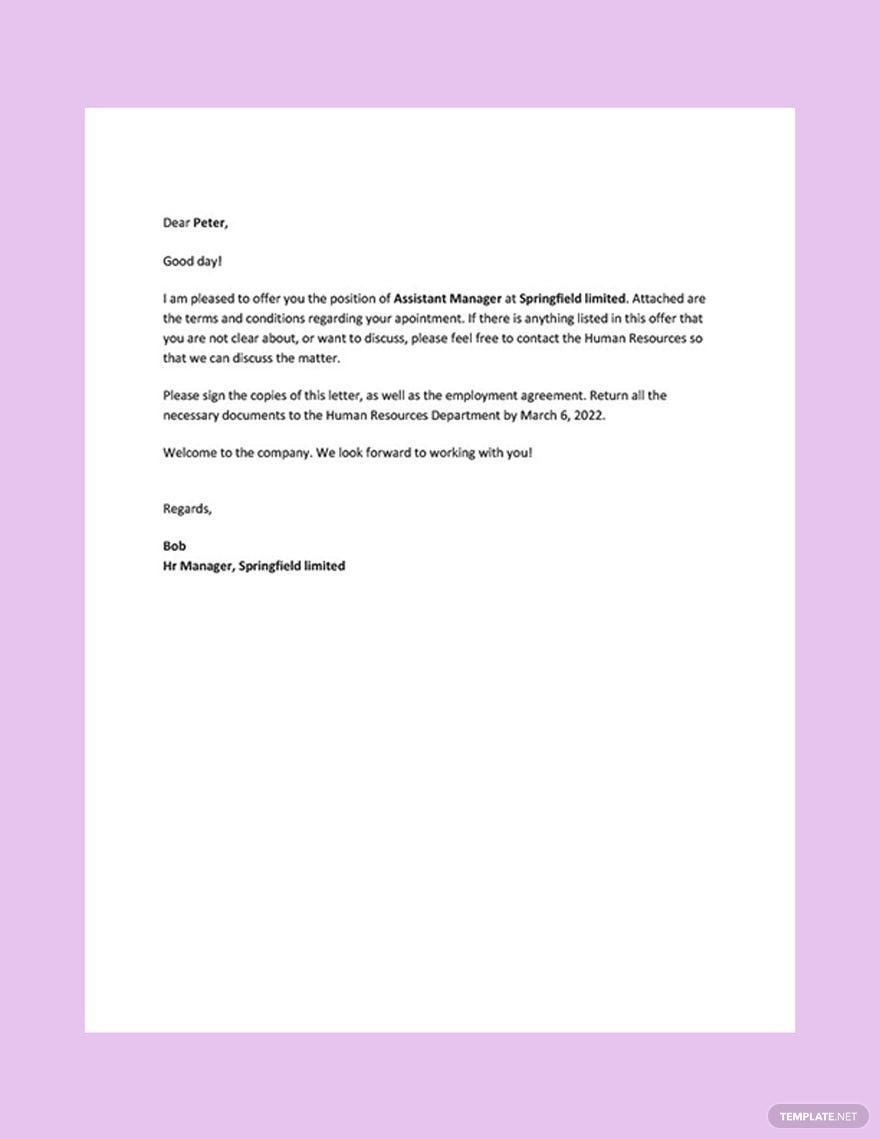 Private Company Appointment Letter In Google Docs PDF Word Download 