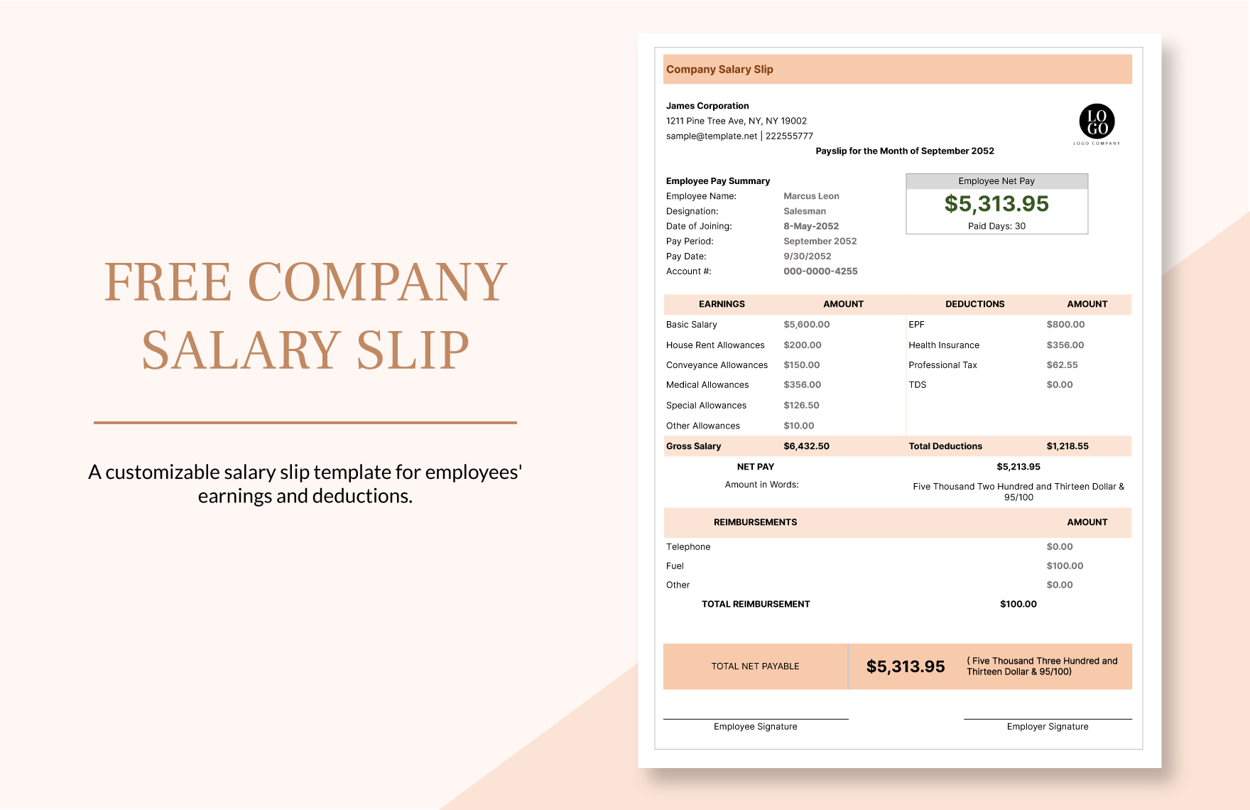 Company Salary Slip Template
