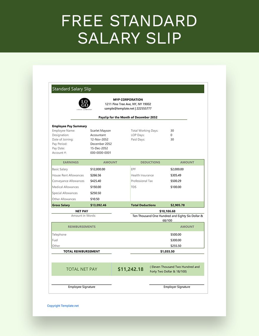 Standard Salary Slip Template