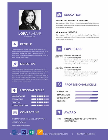 Professional Developer Resume Template - Word, Apple Pages, PSD, Publisher