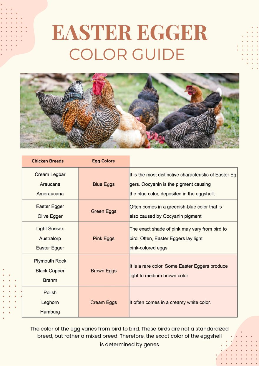 Easter Egger Color Chart