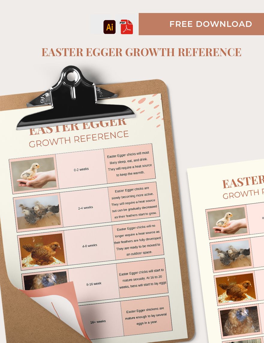 Easter Egger Growth Chart in PDF, Illustrator