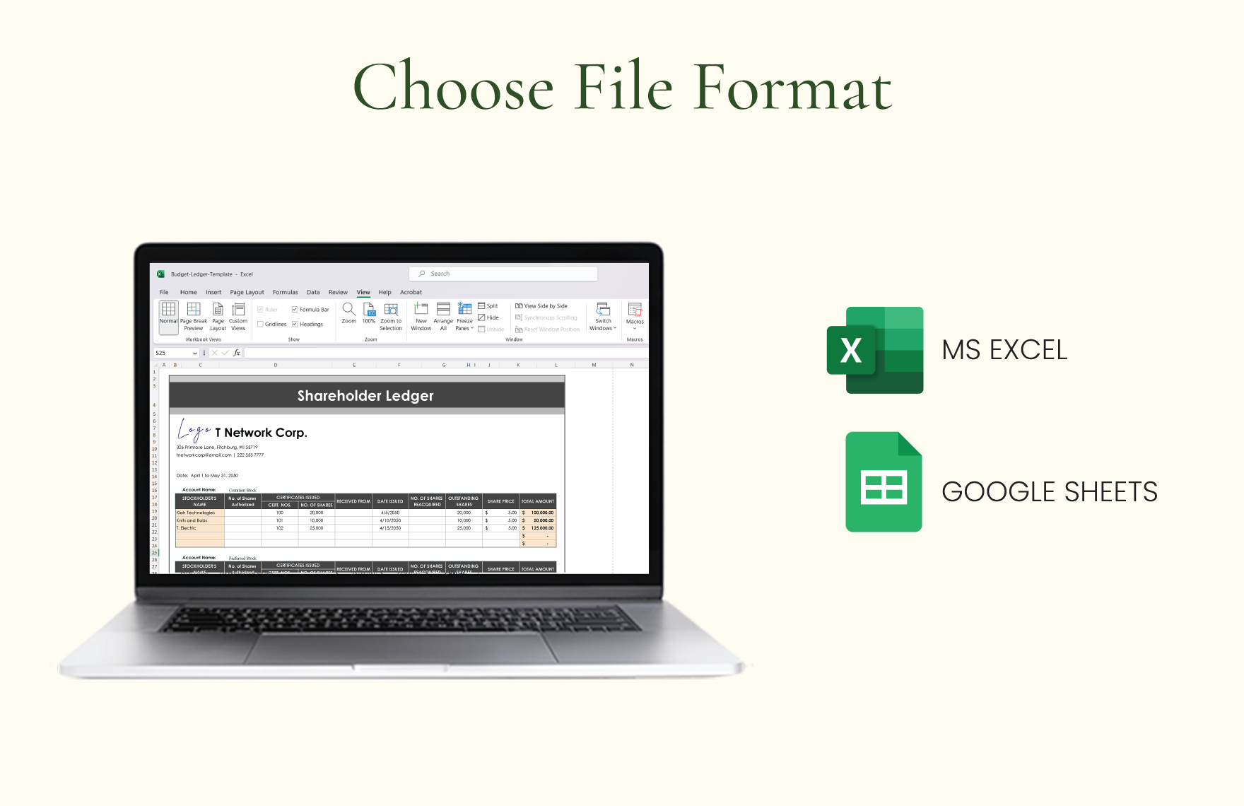 Shareholder Ledger Template Download in Excel, Google Sheets