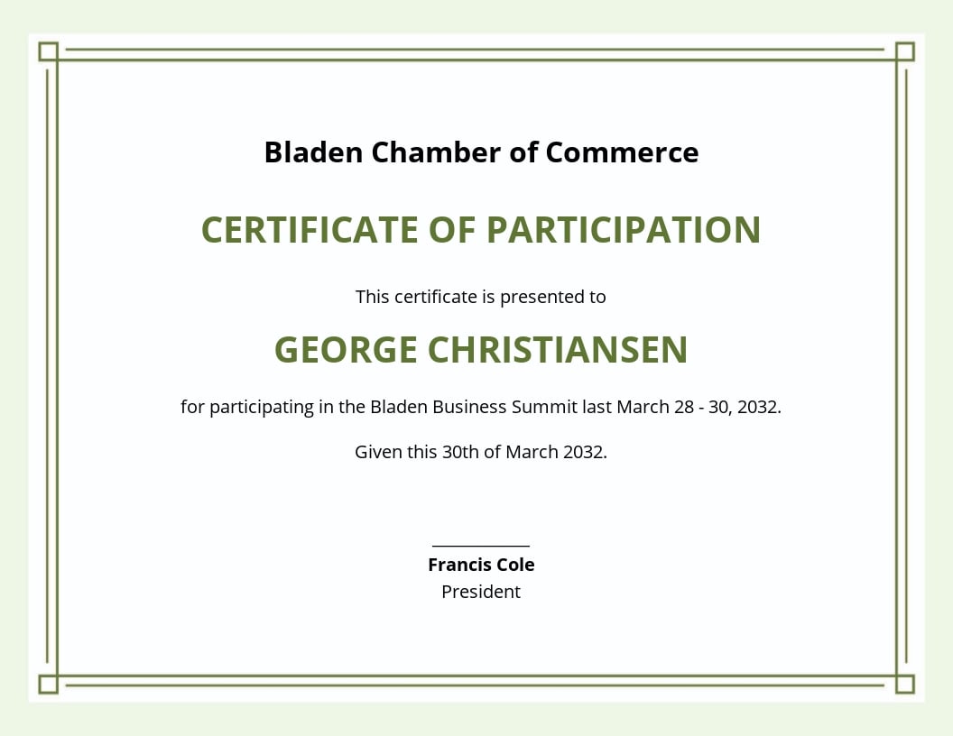Certificate Of Participation Design Templates Throughout Certification Of Participation Free Template