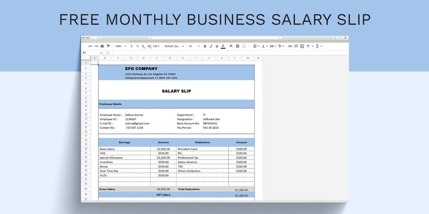Monthly Business Salary Slip