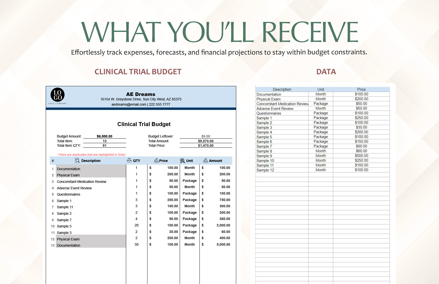 Clinical Trial Budget Template
