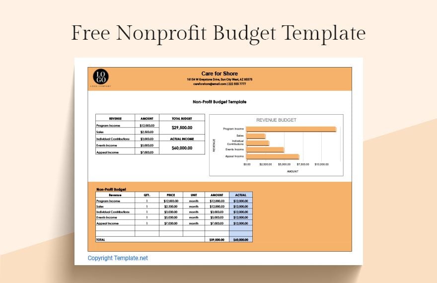 Nonprofit Budget Template